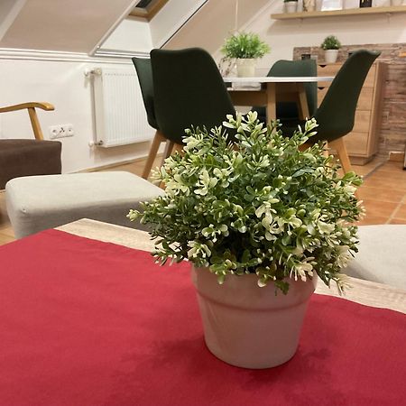Sport Apartman Hajdúszoboszló Esterno foto