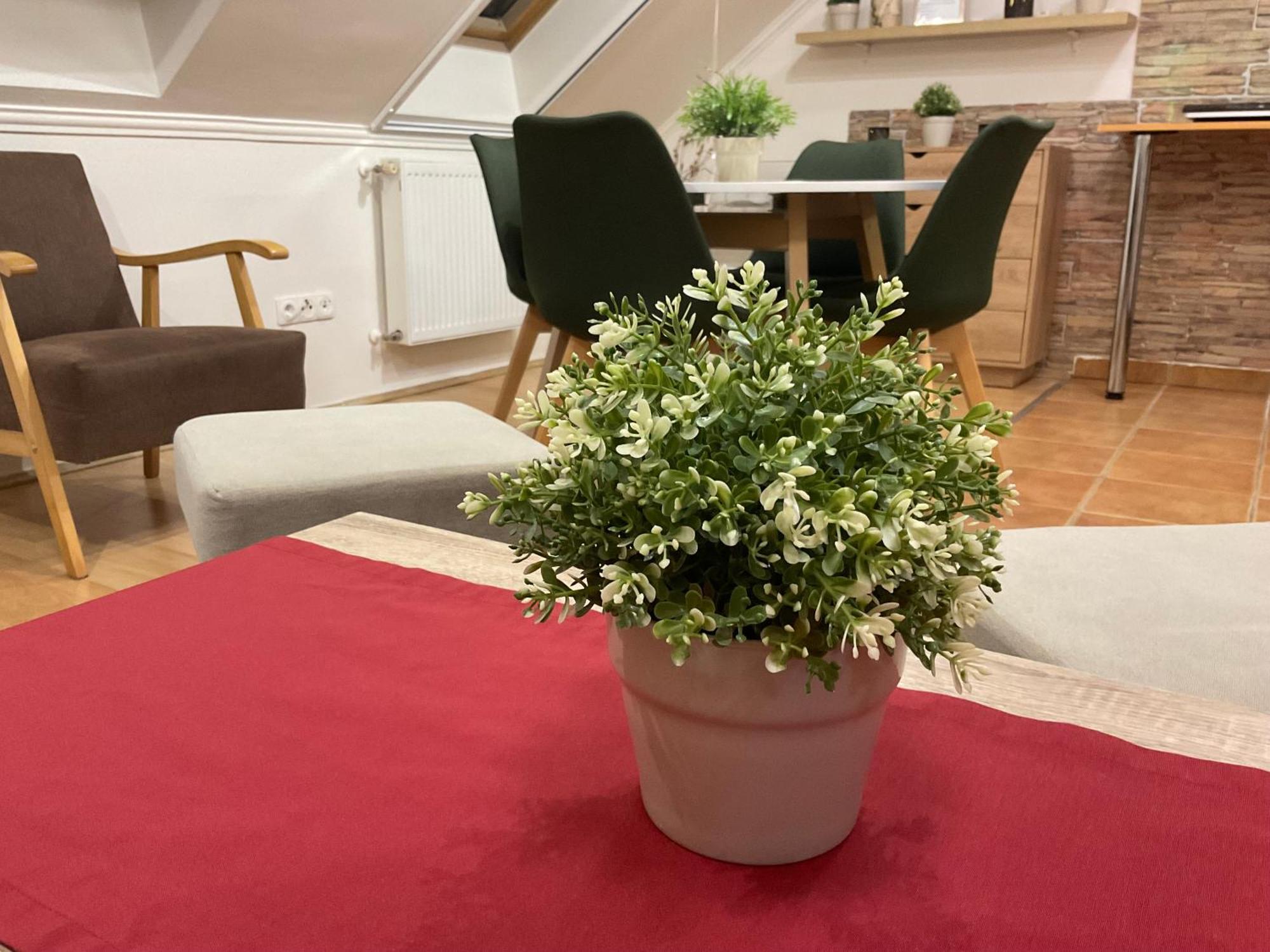 Sport Apartman Hajdúszoboszló Esterno foto